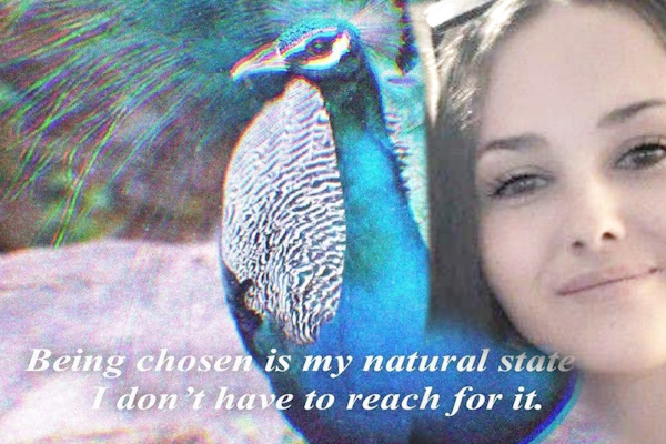 Abundance is not something you chase