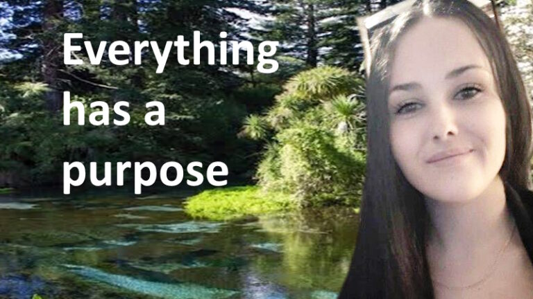 Everything has a purpose